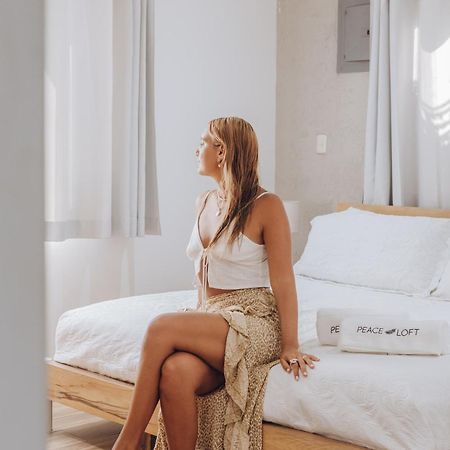 Peace Lofts And Apartments Playa Santa Teresa  エクステリア 写真