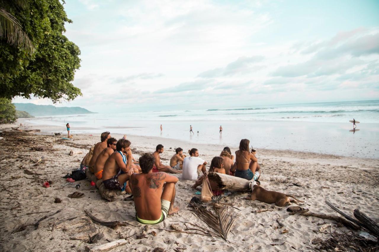 Peace Lofts And Apartments Playa Santa Teresa  エクステリア 写真